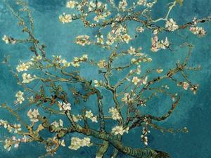 Van Gogh - "Flor de Amendoeira"